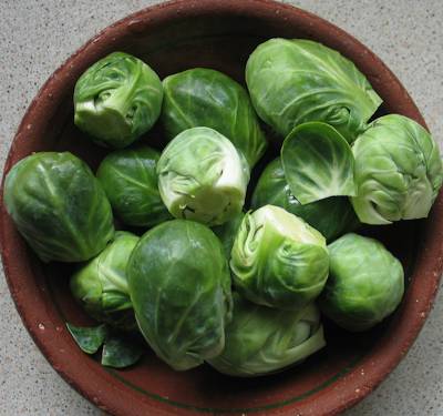 Brussels Sprouts in a small bowl